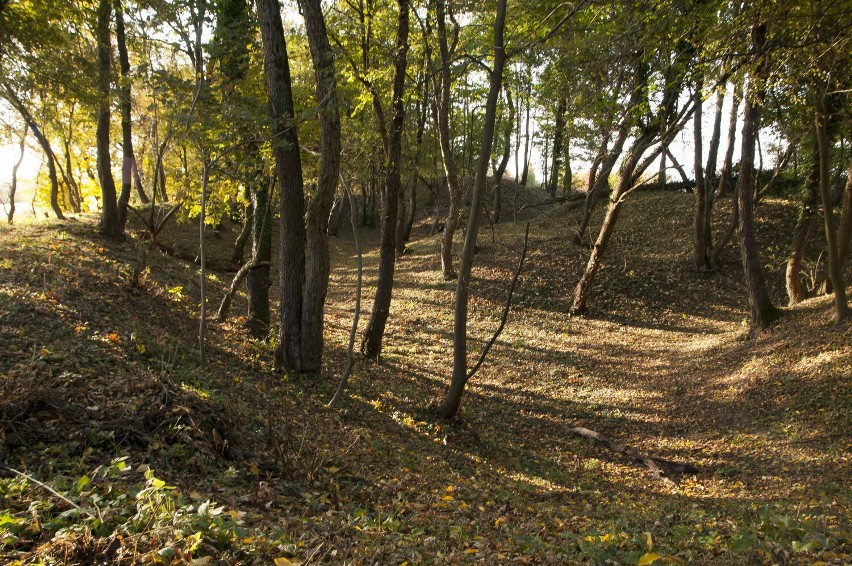 Społecznicy z PTTK wysprzątali Fort 3 Kruhel i jego...