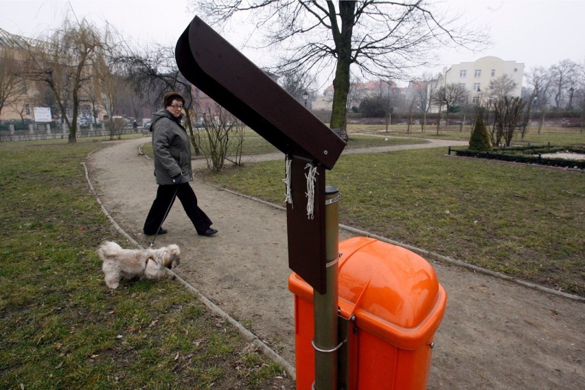 Psie kupy są problemem we wszystkich polskich miastach, nie...