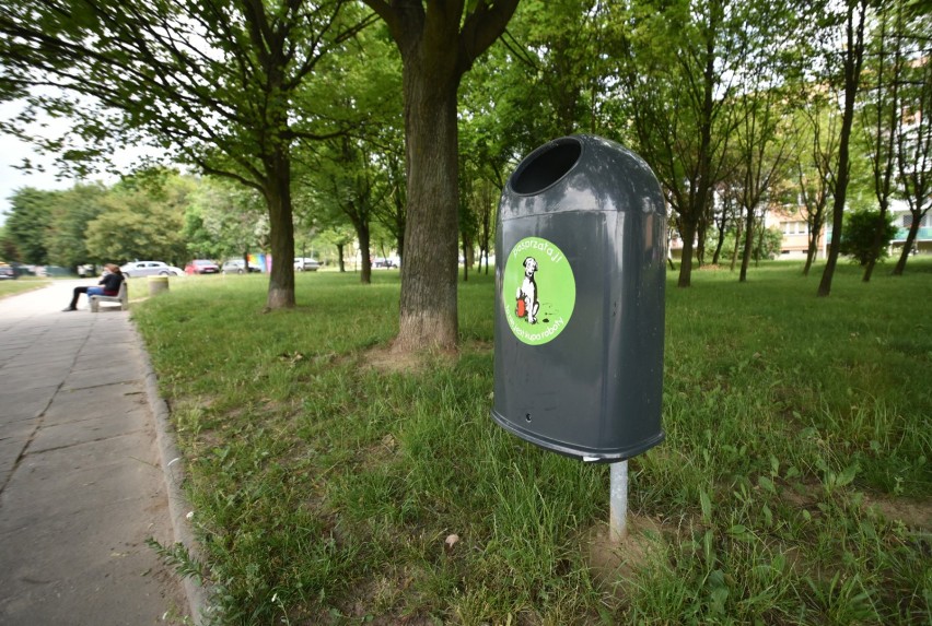 Psie kupy są problemem we wszystkich polskich miastach, nie...