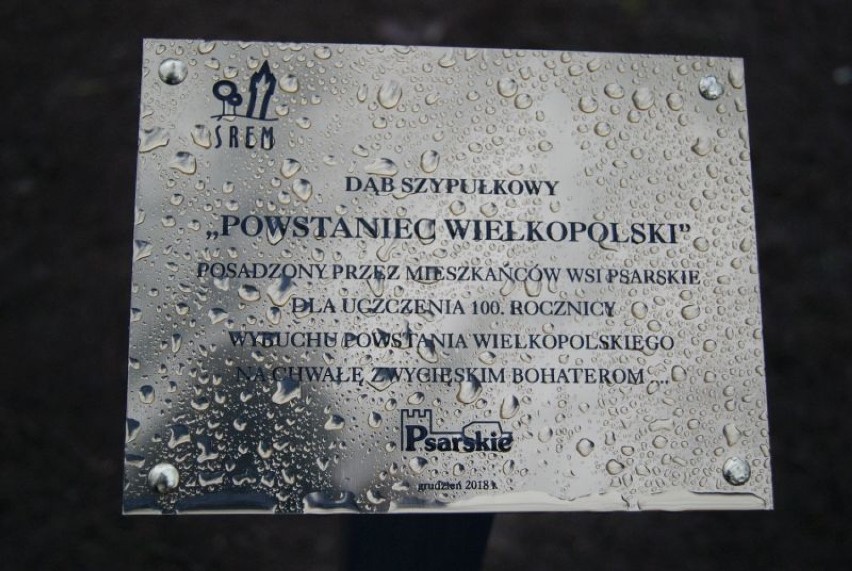 Dolskie uroczystości 100 - lecia wybuchu Powstania Wielkopolskiego w Psarskim