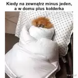 W tym roku zima zaskoczyła drogowców i nie przyszła wcale! Zobacz najlepsze MEMY o tegorocznej zimie 