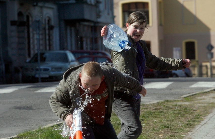 Zwyczaje wielkanocne: Dawniej panny brano pod pachę i... do...