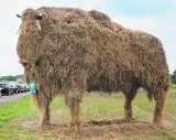 Słomiany żubr gigant witał dożynkowych gości w Jankowicach