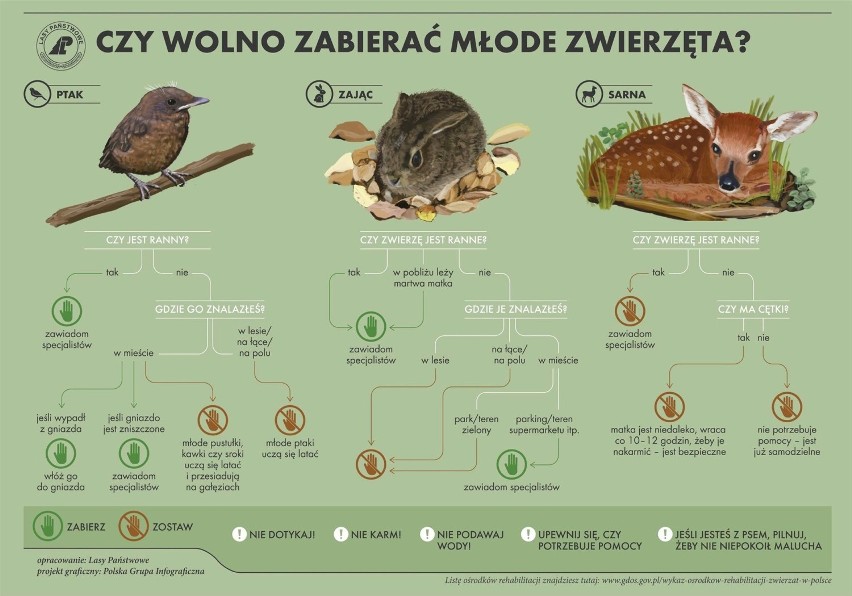 Pracownicy Lasów Państwowych rokrocznie przypominają w...