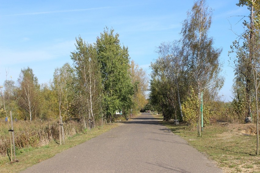 Żabie Doły w Bytomiu jesienną porą po prostu zachwycają....