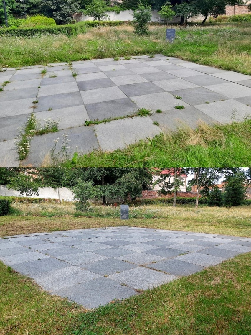 Szachownica w miejskim parku w Żarach zniknęła w trawie i chwastach. Zaniepokojony mieszkaniec zadał pytanie burmistrzowi: Co dalej? 