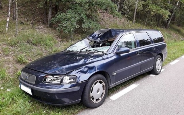 Zderzenie z łosiem w Morusach. Trzy osoby, w tym dziecko, trafiły do szpitala