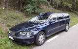 Wypadek w Morusach: Volvo uderzyło w łosia. Trzy osoby ranne, w tym dziecko
