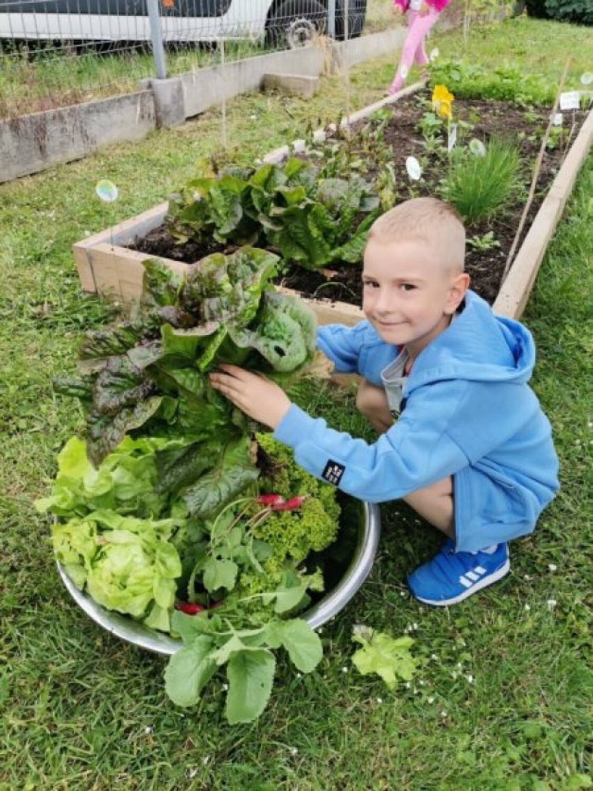 Tak dzieci dbają o swoje warzywniki