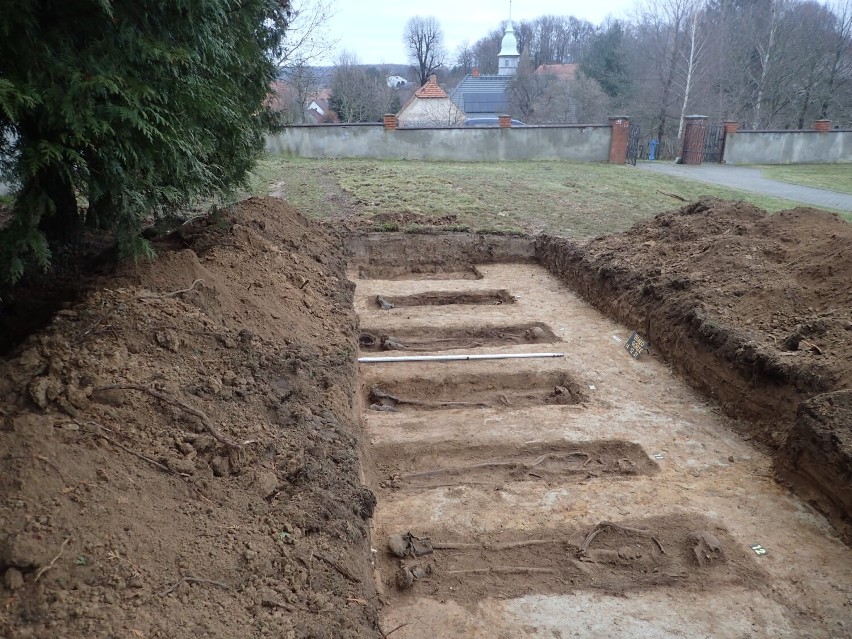 W Białogórzu ekshumowano kolejne ciała niemieckich żołnierzy. Prace prowadzone są przez PBHiA POMOST (ZDJĘCIA)