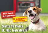 Wielkie otwarcie sklepu Maxi Zoo w Zabrzu! Na mieszkańców czekają wyjątkowe atrakcje