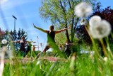 Radom. Joga na trawie - aktywny sposób na weekend. Zobacz galerię zdjęć!