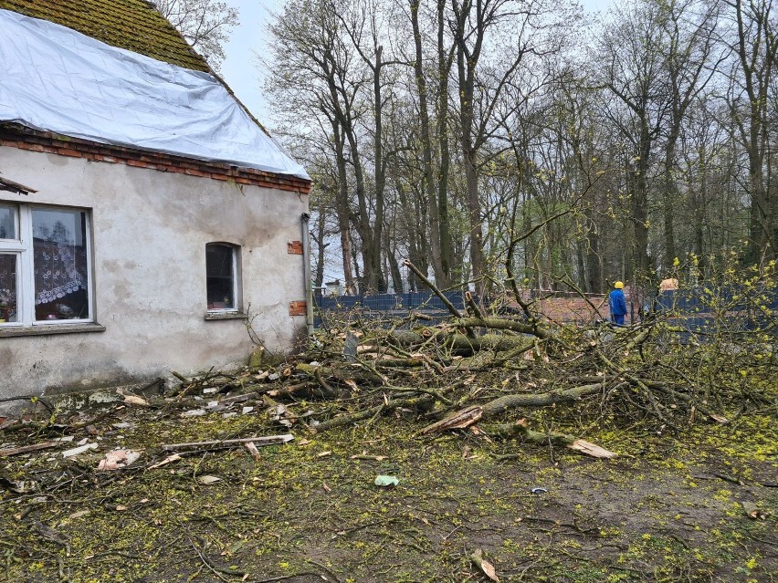Drzewo na dachu, brak prądu i płonące opony. Strażacy z powiatu chodzieskiego w akcji