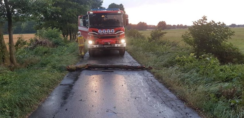 Silny wiatr i burze w gminie Szadek. Straż pożarna podsumowała  interwencje 