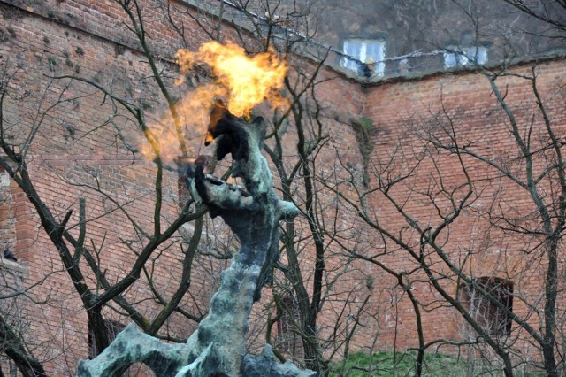 Od 30 kwietnia do 30 września 2022 r. w ogrodach Zamku Królewskiego na Wawelu można oglądać wystawę uświetniającą 50. rocznicę powstania u wylotu Smoczej Jamy pomnika Smoka Wawelskiego – „Smoczy ogród. Bronisław Chromy na Wawelu”.