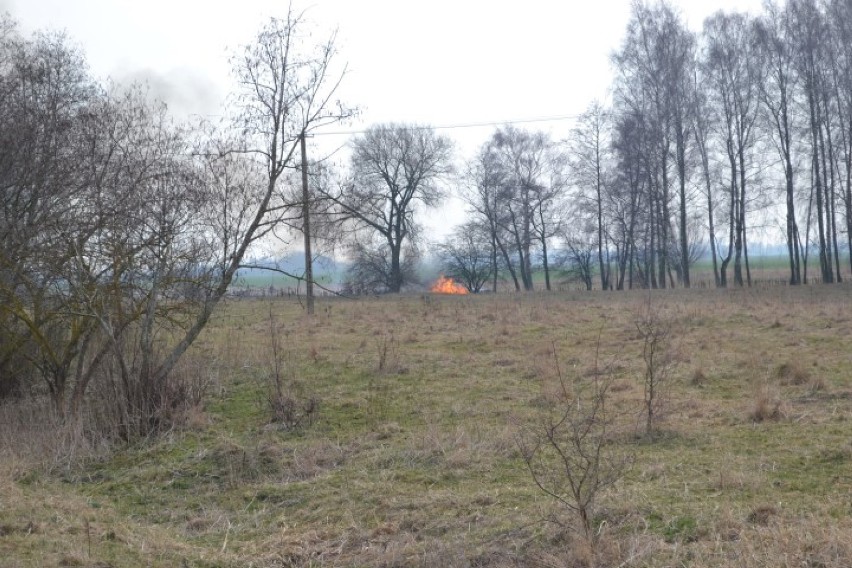 Nowy Dwór Gdański. Wypalanie traw - rośnie liczba interwencji