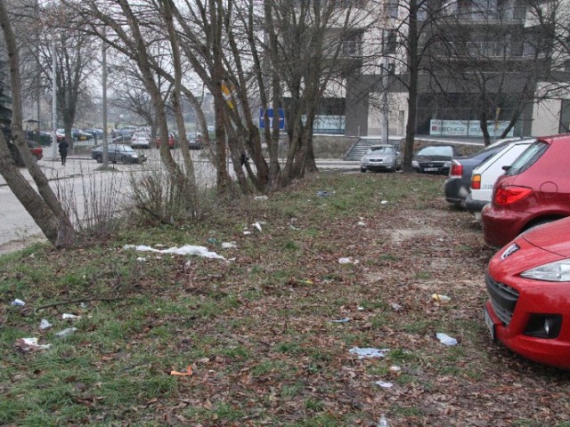 Tak wygląda trawnik przy ulicy Pocieszka.