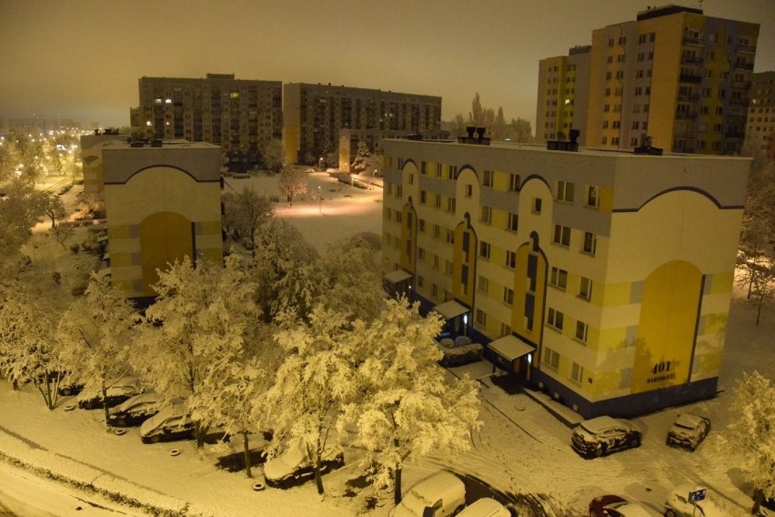 Łódź zasypana śniegiem. Warstwa białego puchu pokryła ulice, drzewa, dachy i chodniki 