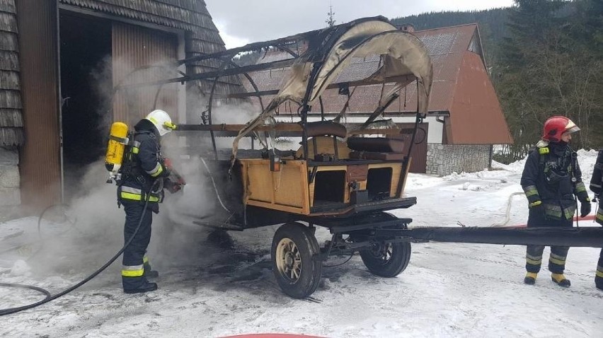 W styczniu płonął konny wóz hybrydowy, który od kilku...