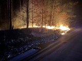 Kolejne pożary traw i lasów w powiecie opoczyńskim. Strażacy opublikowali film ku przestrodze [ZDJĘCIA, FILM]