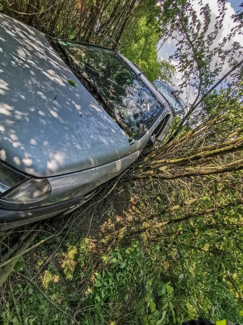 36-latek z pow. sieradzkiego wjechał w  krzaki i zasnął za kierownicą. Miał ponad 3 promile[FOTO]