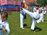 Dni Pruszcza Gd. Pokaz sztuki walki taekwon-do