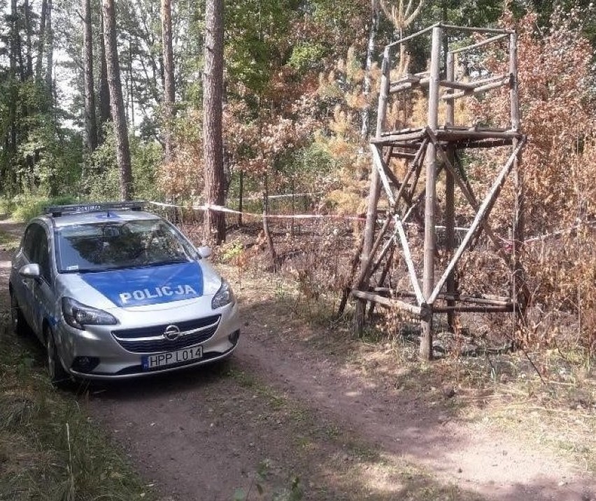 Niebezpieczny pocisk z lesie w Herbach. Interweniowali...