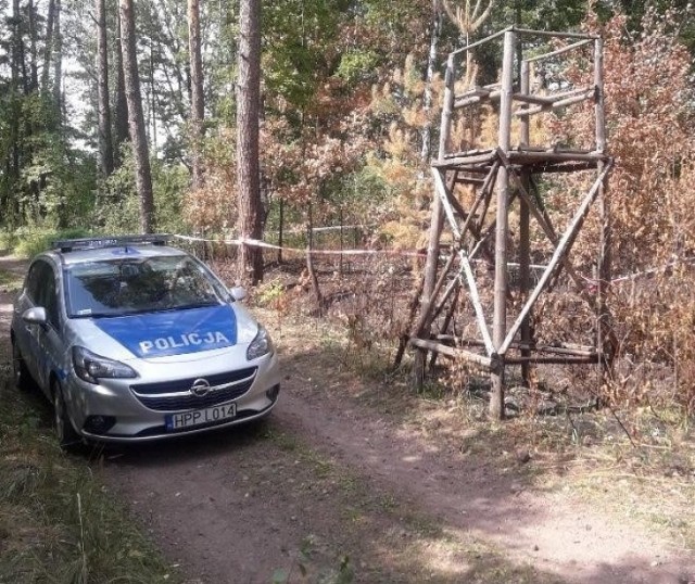 Niebezpieczny pocisk z lesie w Herbach. Interweniowali saperzy