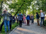 Gniezno. Spacer ornitologiczny w Parku Miejskim