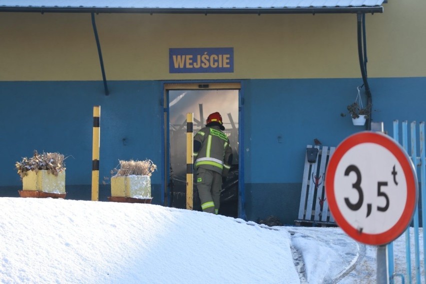 Pożar przy Pojezierskiej w Łodzi. Co było przyczyną? Właściciel oszacował straty powstałe w wyniku pożaru