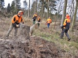 W małym lasku chcą zrobić duże porządki 