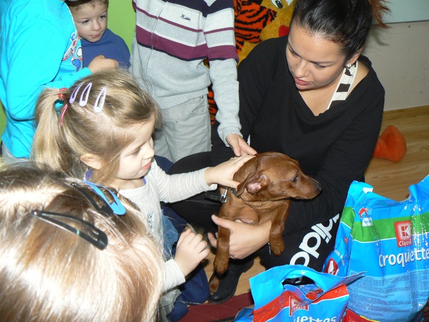 Przedszkolaki pomagają psiakom z pleszewskiego azylu