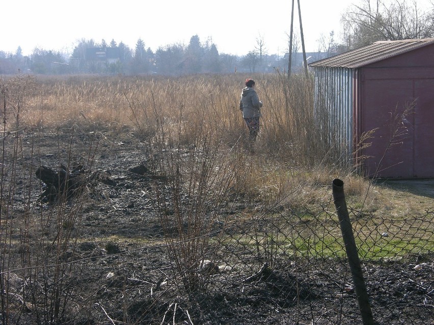 Pożar traw w Skierniewicach na osiedlu Widok wybuchł po...