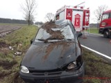 Gmina Bojanowo. Samochód zderzył się z sarną. Auto dachowało - zwierzę nie przeżyło [ZDJĘCIA]