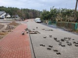 Budowa ulicy Grzybowej w Wągrowcu. Część prac zakończy się wcześniej? 