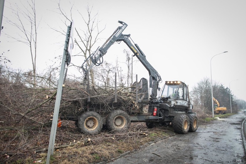 Wielu mieszkańców jest oburzonych masową wycinką drzew w...