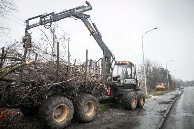 Wielu mieszkańców jest oburzonych masową wycinką drzew w okolicach dworca Opole Wschodnie.