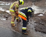 Strumień błota zalewał drogę w gminie Lisewo. Interweniowali strażacy, a nawet wójt. Zdjęcia