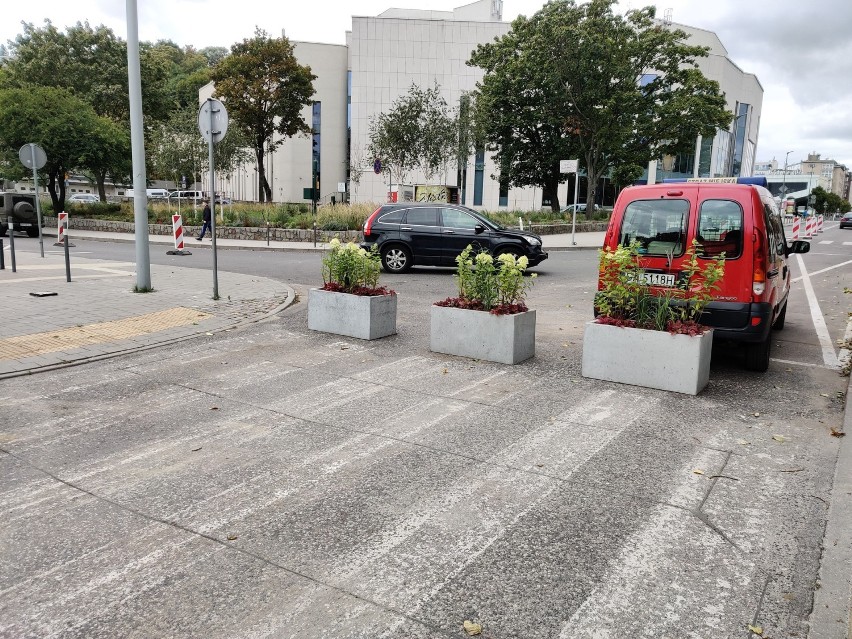 Dynie zamiast samochodów na byłym parkingu przy ul. Zawiszy Czarnego. Teraz będzie tam park