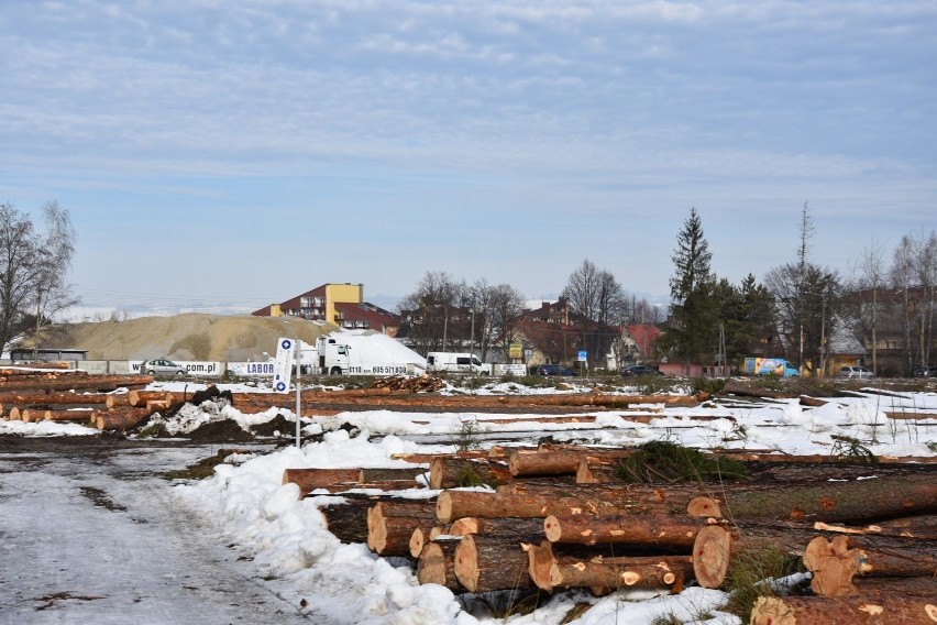 Nowy Targ. Ruszyła wycinka drzew pod kolejny odcinek nowej zakopianki