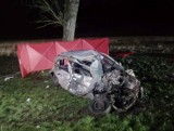 Wypadek między Przytoczną a Wierzbnem. Auto osobowe zderzyło się z ciężarówką. Zginęła jedna osoba