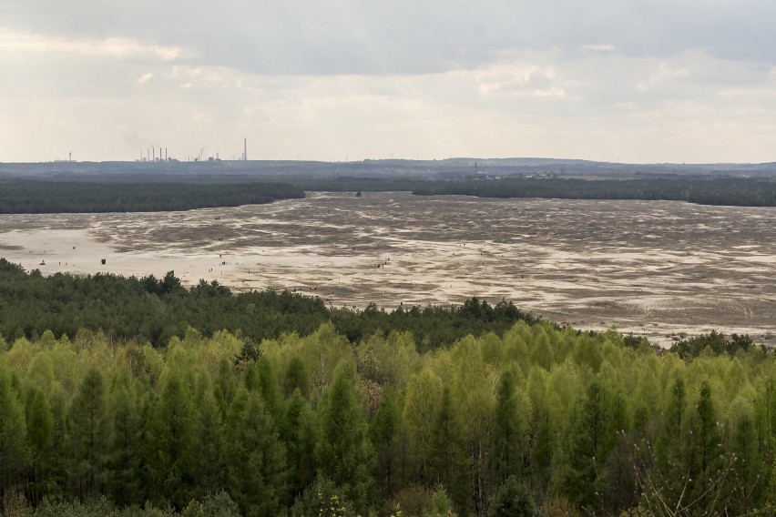 Pustynia Błędowska To znajdujący się w powiecie olkuskim...