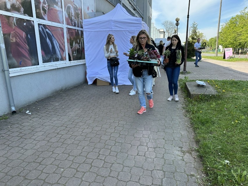 Tłumy zwiedzających i kupujących podczas drugiego dnia Festiwalu Roślin w hali przy ulicy Narutowicza w Radomiu
