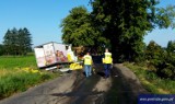 Wypadek w gminie Zalewo. Zginął kierowca renault [ZDJĘCIA, FILM]