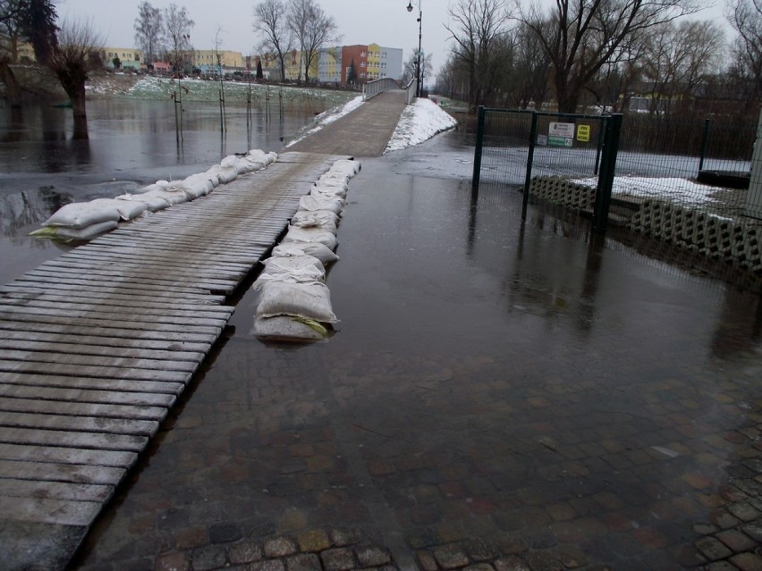 22 stycznia – Rzeka Obra, nie pozwoli się tak łatwo zdominować. Rządzi się swoimi prawami