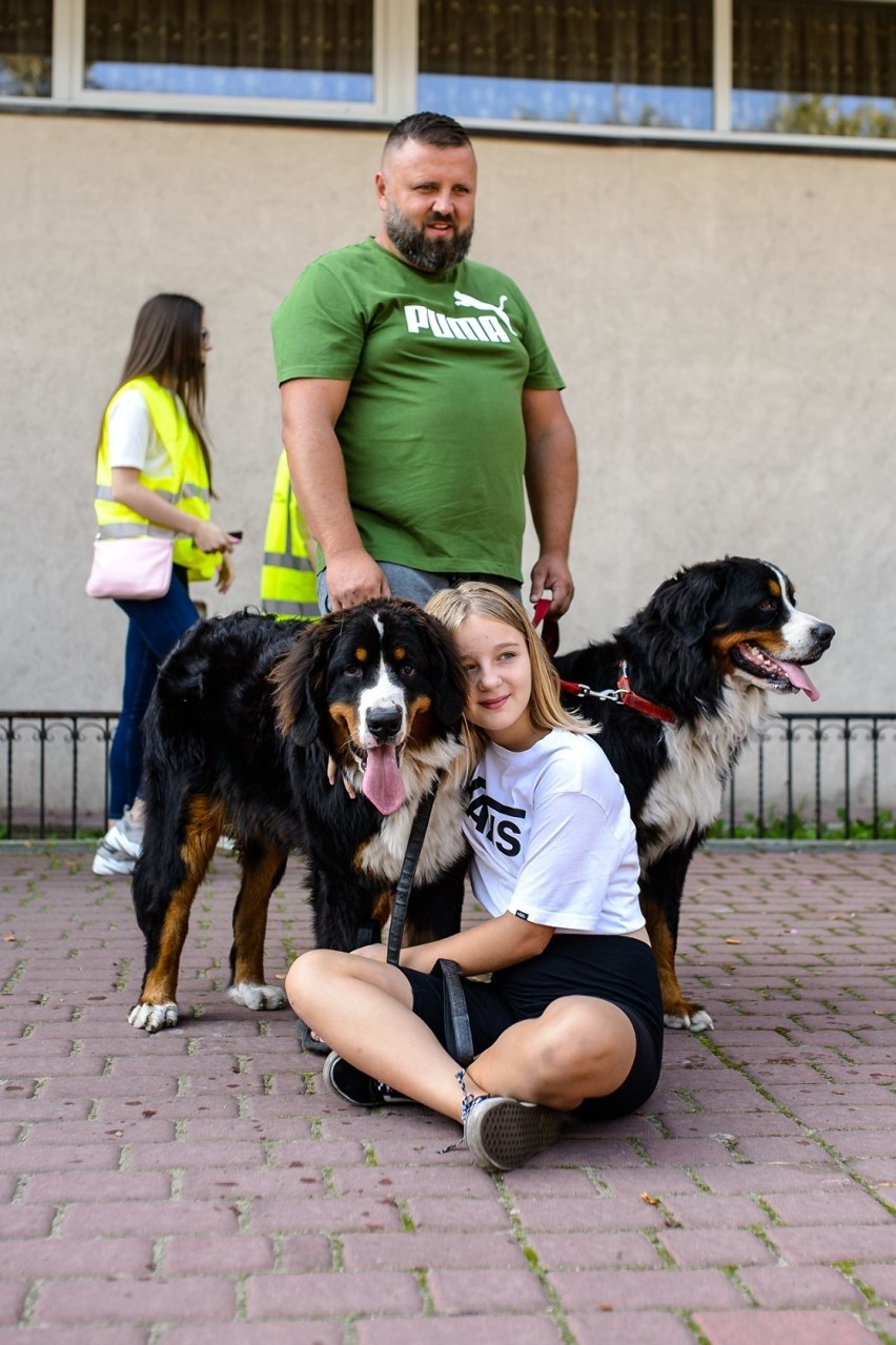 Przez zawierciański park przeszła II Parada Psów