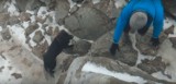 Tatry. Turyści ściągnęli psa ze szczytu Giewontu
