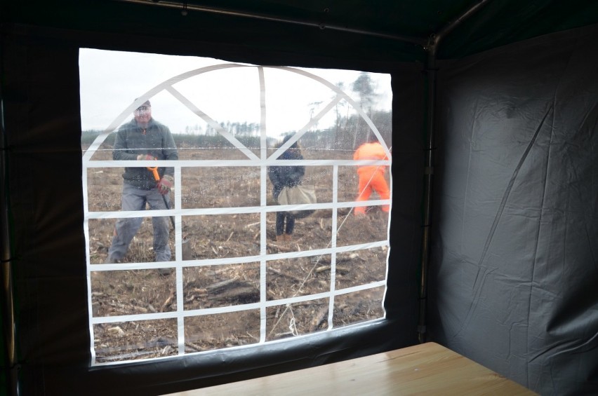 Uczniowie Ekonomika pomagają sadzić las [FOTO, VIDEO]