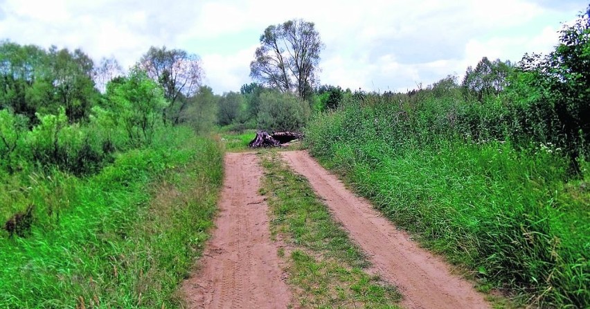 Z pieknej przyrody mieszkańćy gminy mogą byc dumni. Z faktu,...