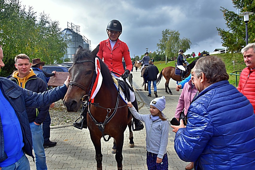 Stadnina w Regietowie zapełniła się miłośnikami koni i...